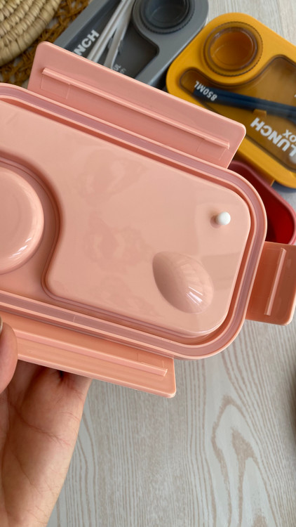 لانچ باکس وارداتی دوقسمتی