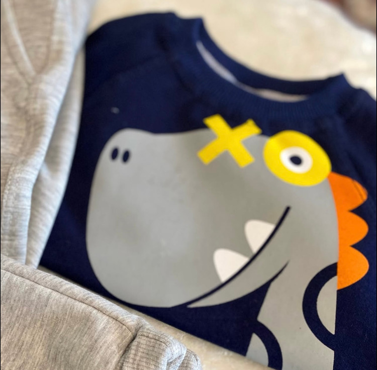 ست دوتیکه پسرانه طرح دایناسور